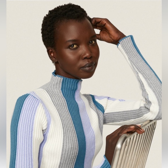 Love, Whit by Whitney Port Elegant Blue Striped Turtleneck Sweater - Picture 5 of 6